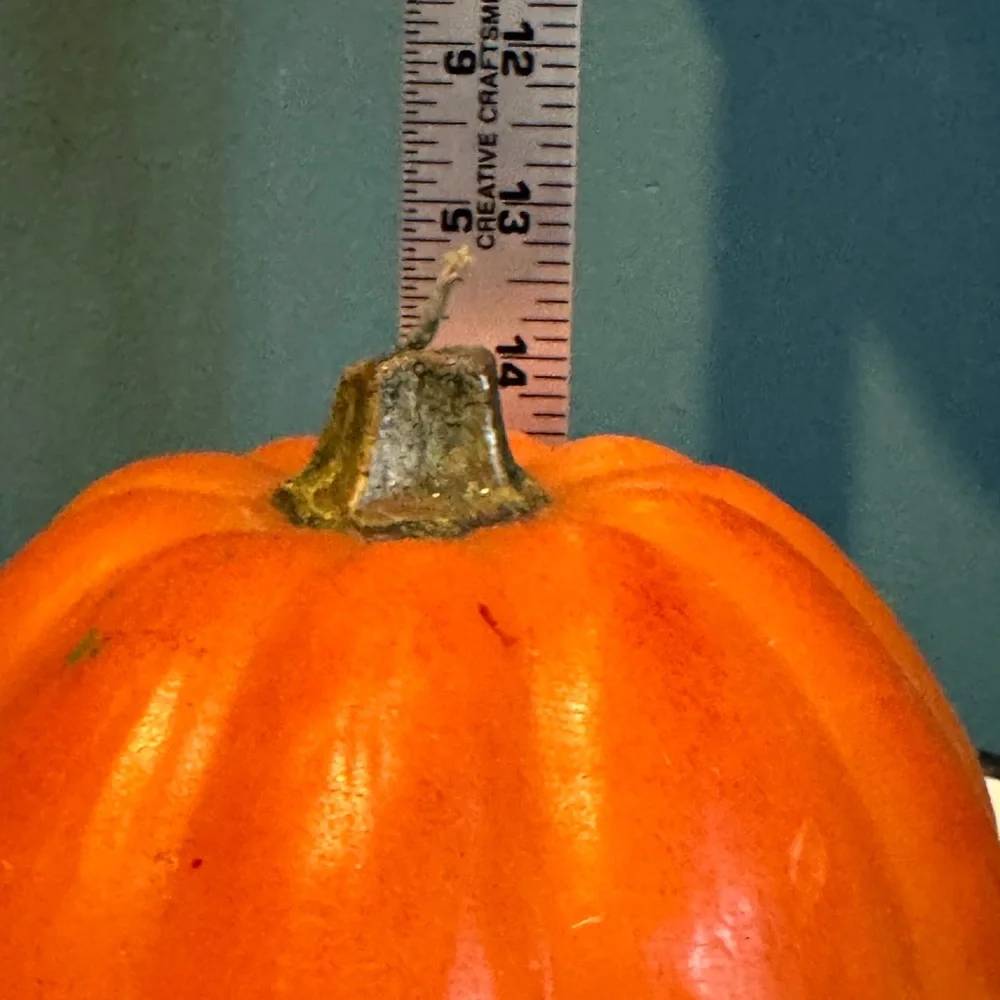 Pottery Barn Decorative Orange Pumpkin Candle